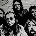 Steely Dan Collection