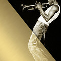 Miles Davis Collection